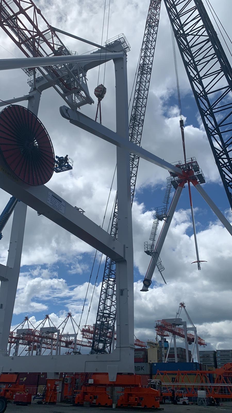 Tauranga Crane Build Rich Rigging & Welding Project Services